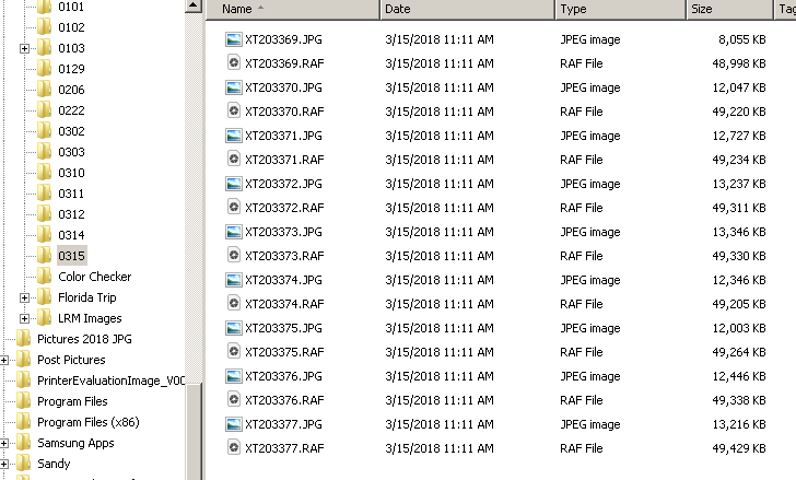RAW + JPG Copied.PNG